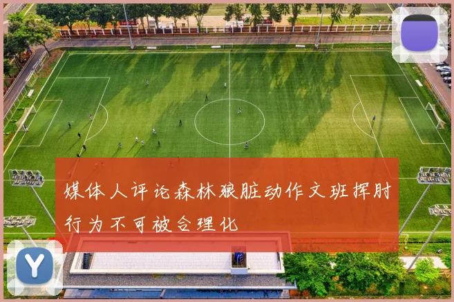 媒体人评论森林狼脏动作文班挥肘行为不可被合理化