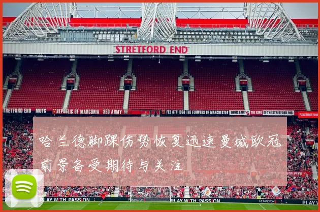 哈兰德脚踝伤势恢复迅速曼城欧冠前景备受期待与关注