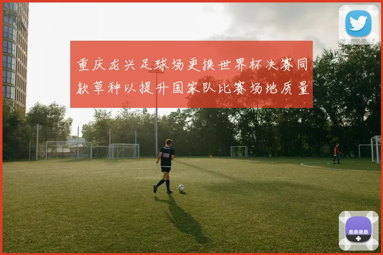 重庆龙兴足球场更换世界杯决赛同款草种以提升国家队比赛场地质量